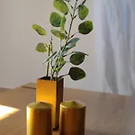 Apartament Casa Teresina *