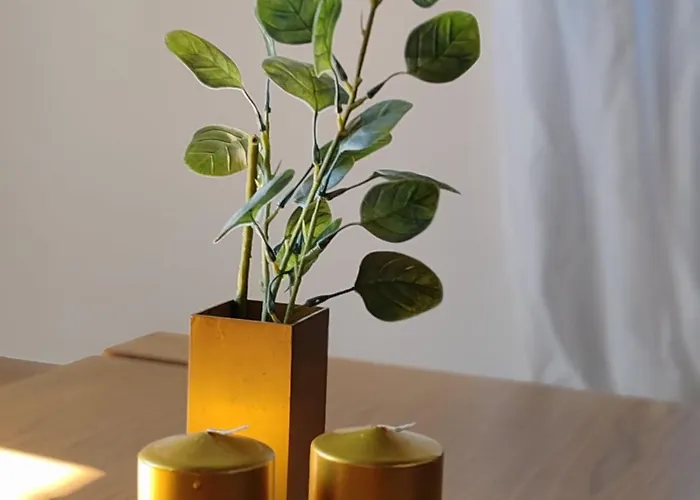 Apartamento Casa Teresina *